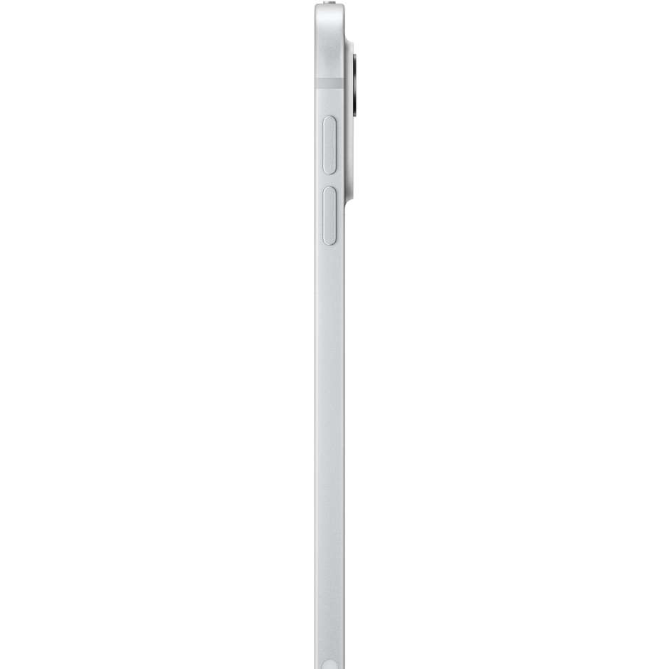 11-inch ipad pro wifi 256gb with standard glass -