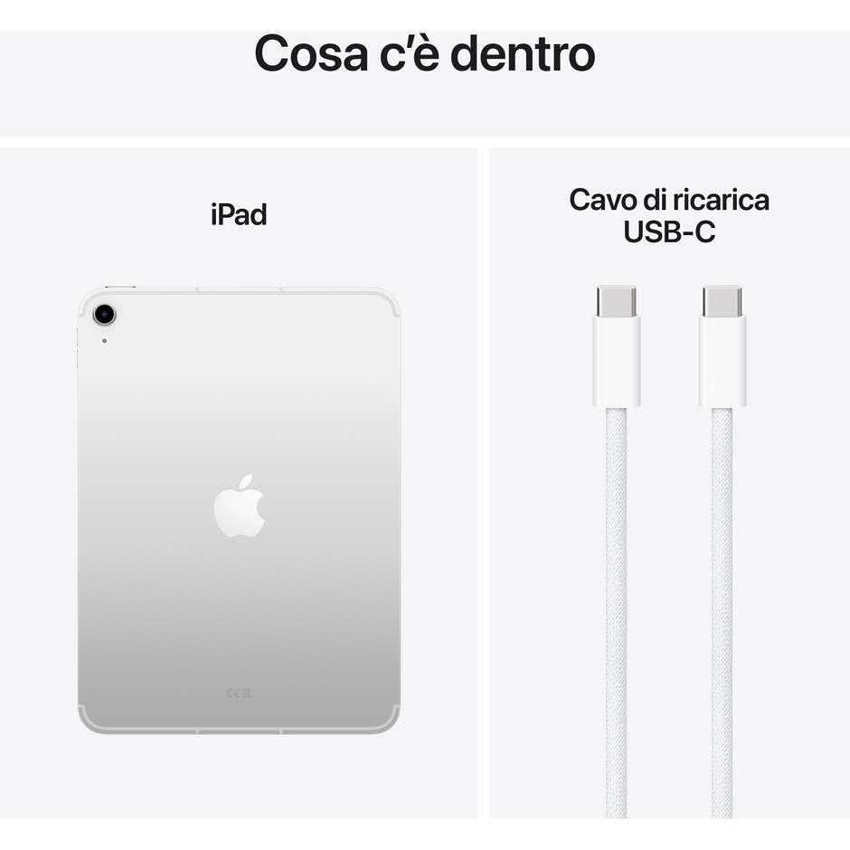 Apple iPad 11'' Wi-Fi + Cellular Memoria 256 GB Colore Argento