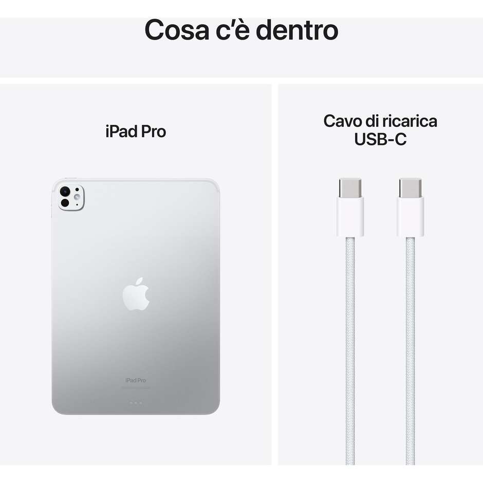 Apple iPad Pro 11'' Memoria 256 GB Wi-Fi Standard glass Colore Argento