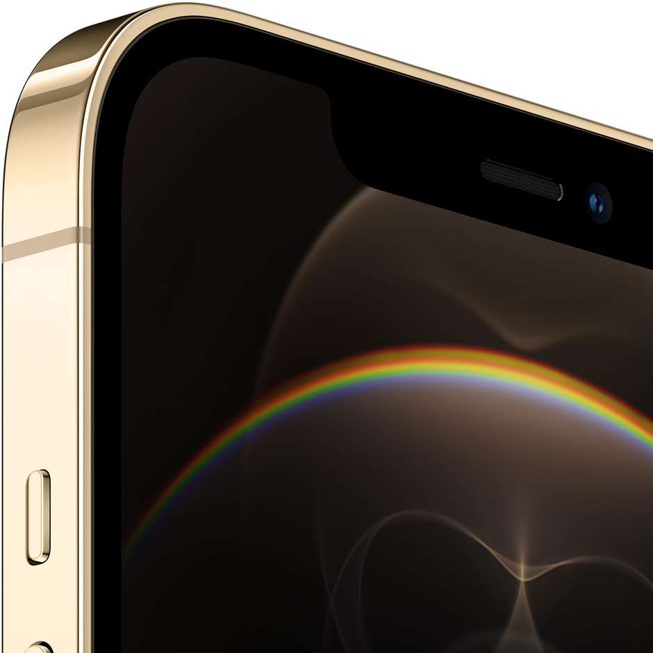 Apple iPhone 12 Pro Max Smartphone 6,7'' Memoria 256 Gb iOS 14 Apple colore oro