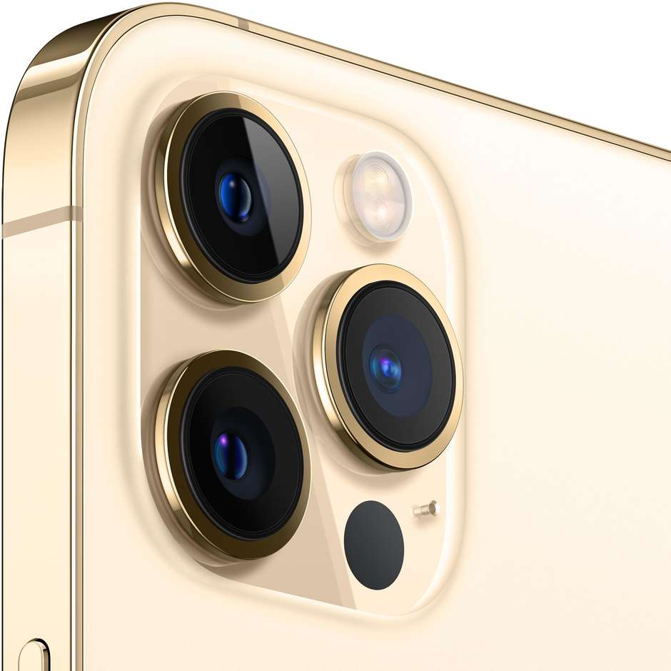 Apple iPhone 12 Pro Max Smartphone 6,7'' Memoria 256 Gb iOS 14 Apple colore oro