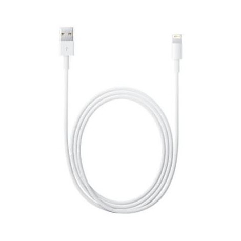 Apple MD819ZM/A cavo da Lightning a USB lunghezza 2 metri