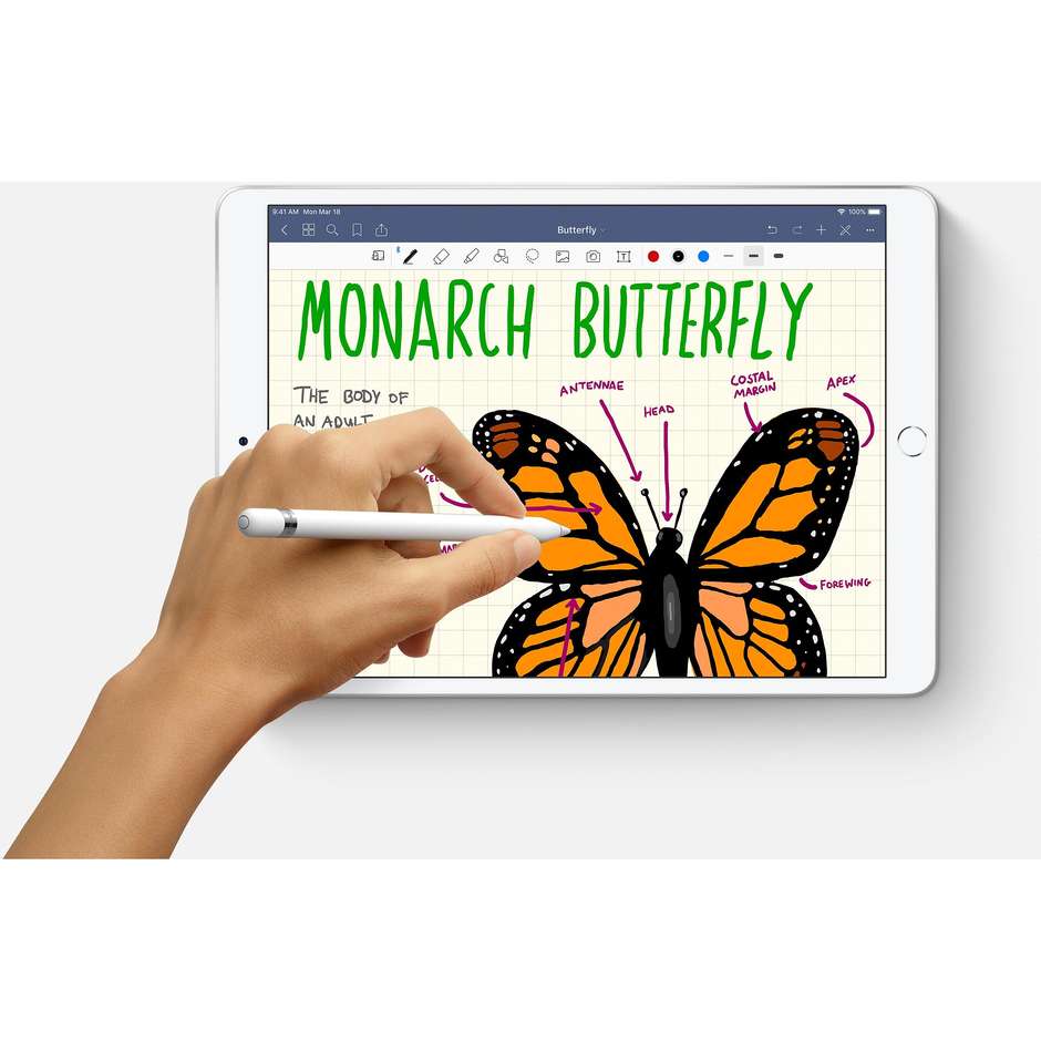 Apple MUUR2TY/A iPad Air Tablet 10,5" memoria 256 GB Wifi colore Argento