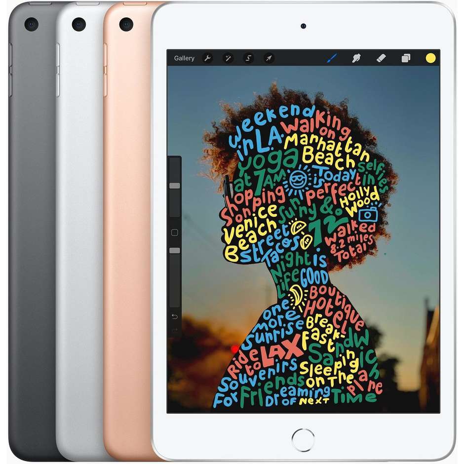 Apple MUXC2TY/A iPad mini Tablet 7,9" memoria 256 GB Wifi + Cellular 4G colore Grigio Siderale