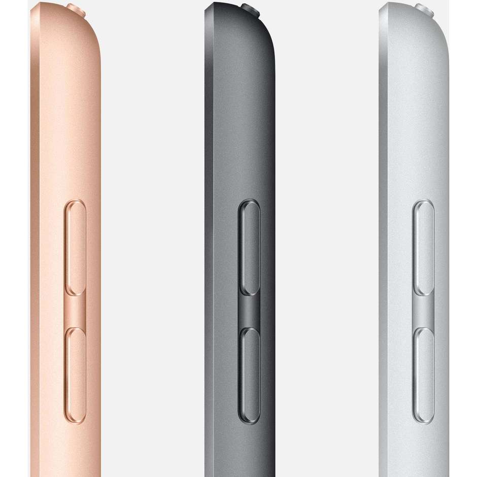 Apple MW6F2TY/A iPad Tablet 10.2" Wifi + Cellular memoria 128 GB colore argento