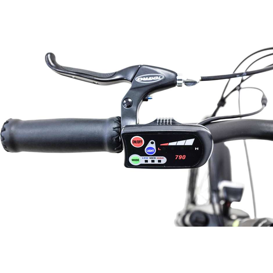 Argento Bike Alpha E-Bike City bike velocità max 25 km/h autonomia max 80 km colore grigio