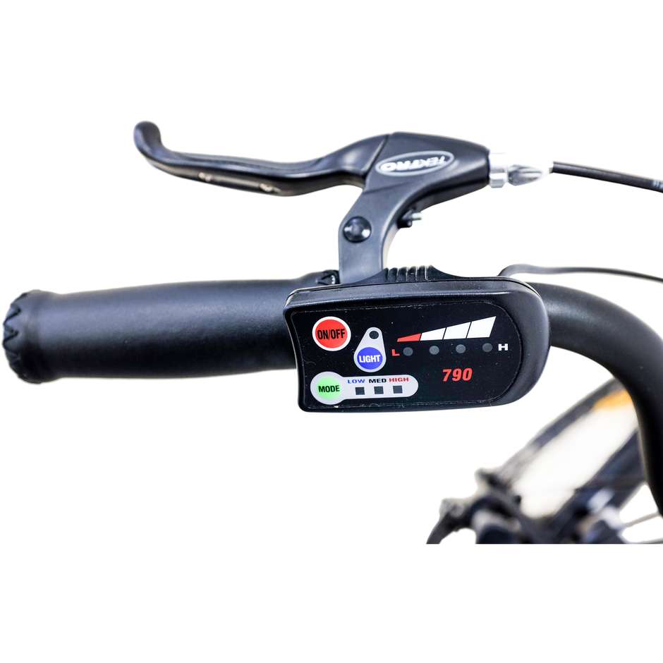 Argento Bike Omega E-Bike City bike velocità max 25 km/h autonomia max 80 km colore grigio