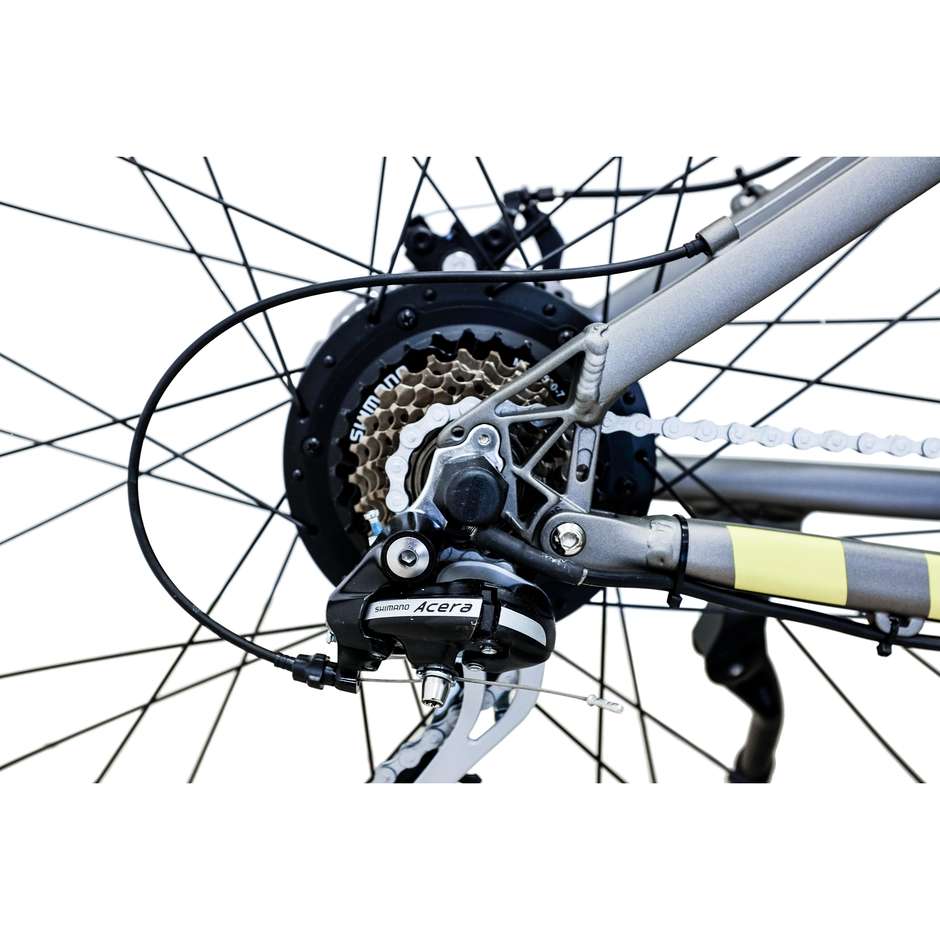 Argento Bike Performance Pro E-Bike Mountain bike velocità max 25 km/h autonomia max 80 km colore nero e blu
