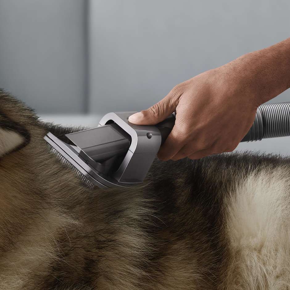 Dyson Kit per la Cura degli Animali 972205-01 Accessorio per Aspirapolvere