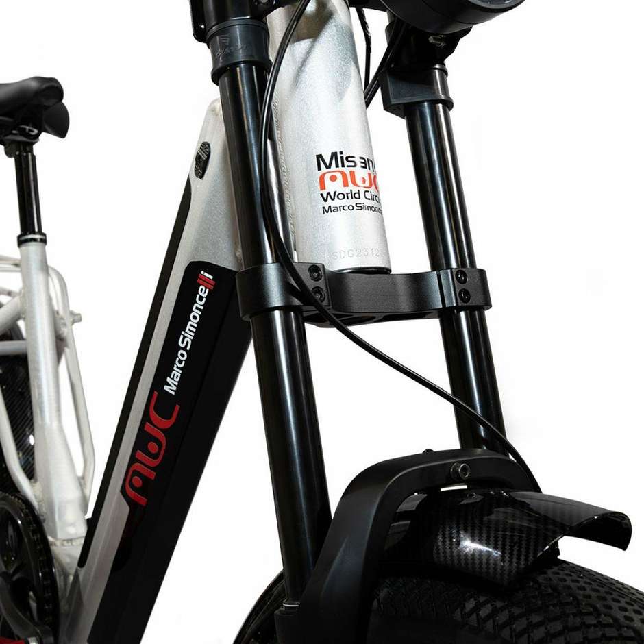 EMG Rebel 20FBR5806 fat e-bike pieghevole color alluminio, 20 pollici