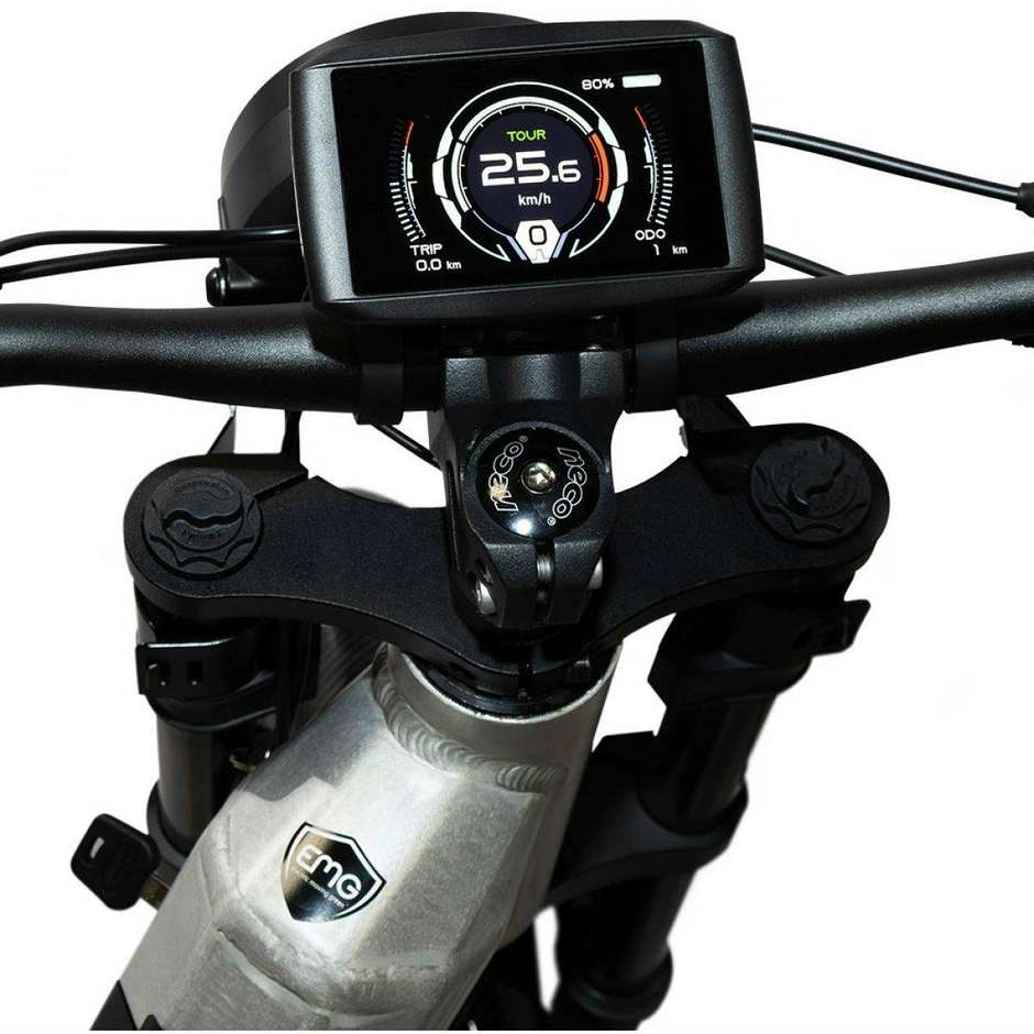EMG Rebel 20FBR5806 fat e-bike pieghevole color alluminio, 20 pollici