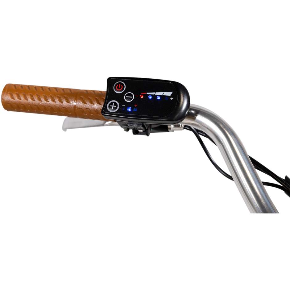 EMG SHIRLEY Bicicletta Elettrica a Pedalata Assistita E-Bike Colore Grigio/Nero