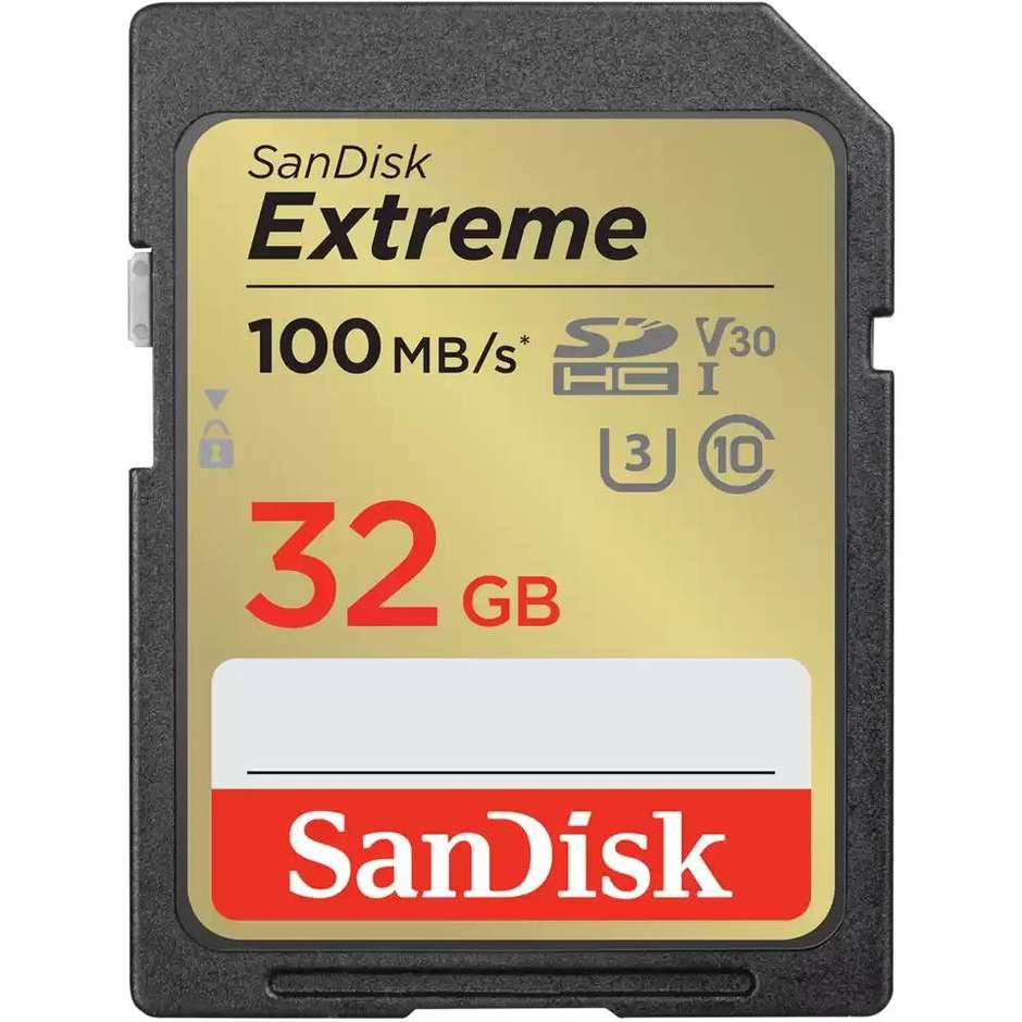 extreme 32gb memory card  up to 100