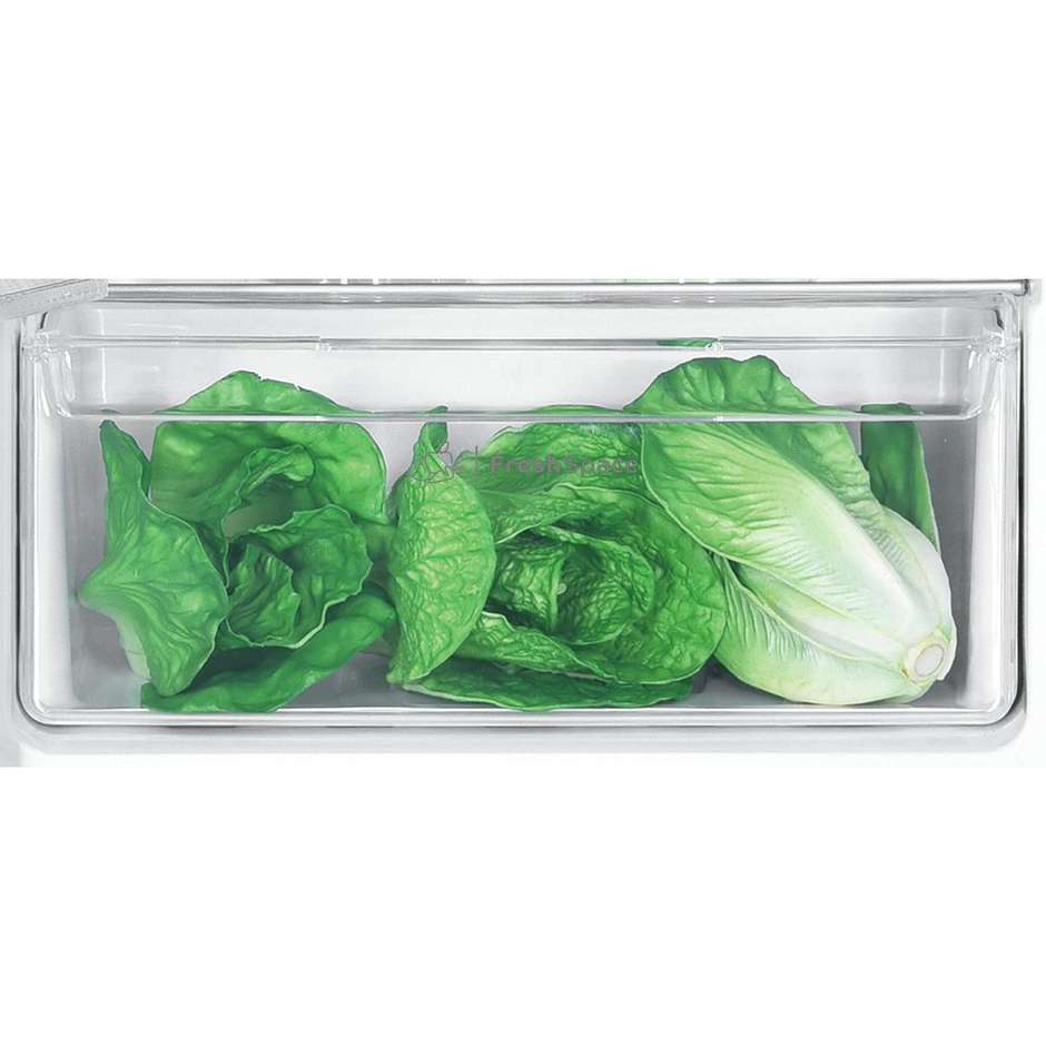 frigo inc 2p 205lt h145 stat e