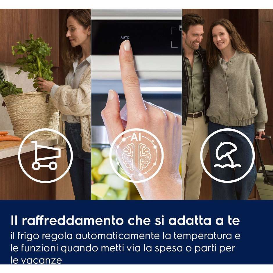frigo inc combi 269lt h189 nf d ai multiflow inv
