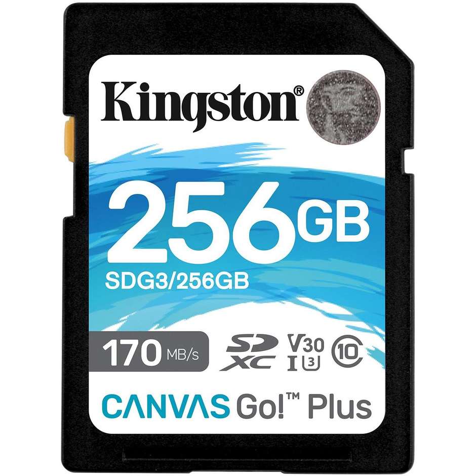 Kingstone SDG3/256GB Memory Card Capacità 256 Gb colore nero e bianco