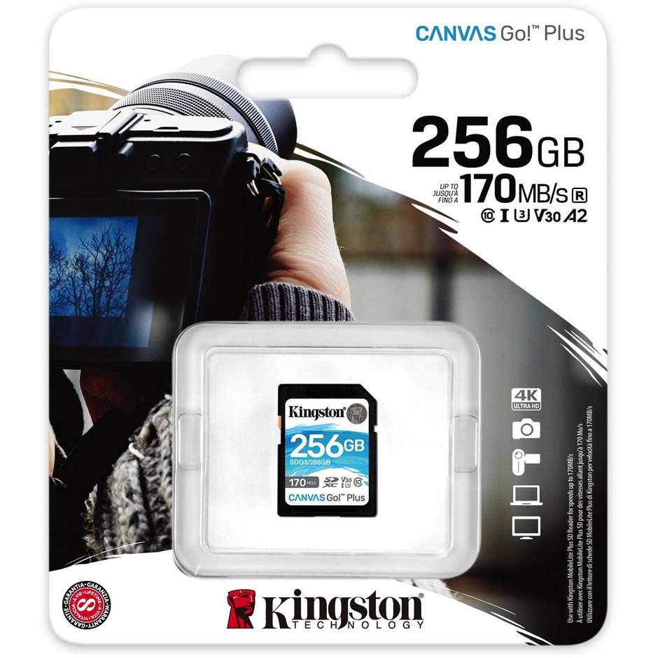 Kingstone SDG3/256GB Memory Card Capacità 256 Gb colore nero e bianco
