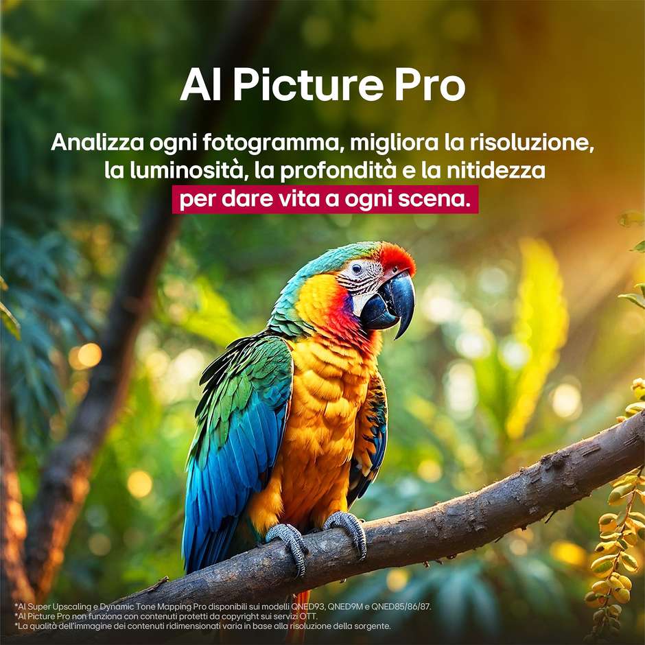 LG 65QNED93A6A TV QNED evo 65" 4K Ultra HD Smart TV Wi-Fi Classe G Colore Nero