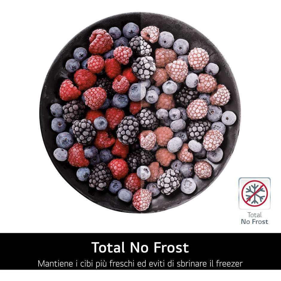 LG GBBSJ20DPY Frigorifero Combinato 375 L No Frost Classe D Inox