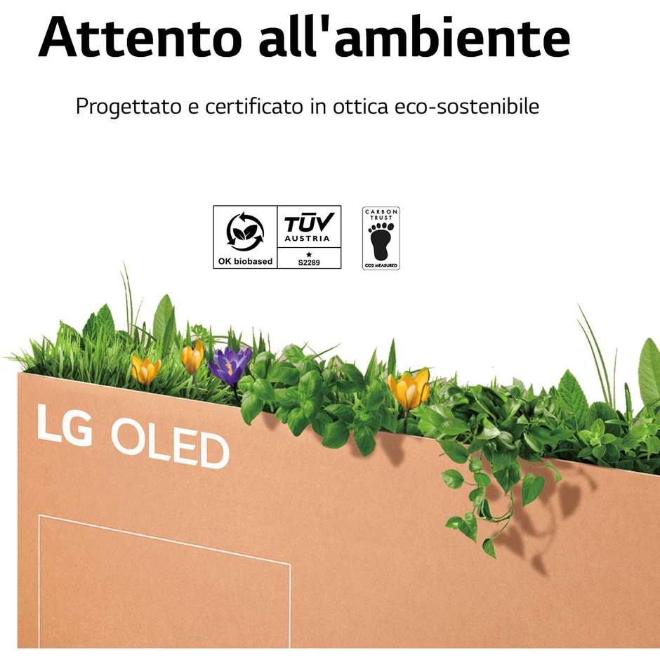 LG OLED55CS6L Tv Oled 55" 4K Ultra HD Smart TV Wi-Fi Classe G Colore cornice Blue