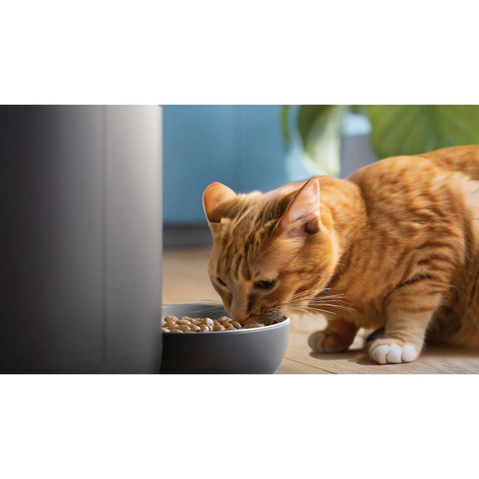 Philips 5000 series PAW532002 Distributore di cibo smart con telecamera Pet Series Colore Nero