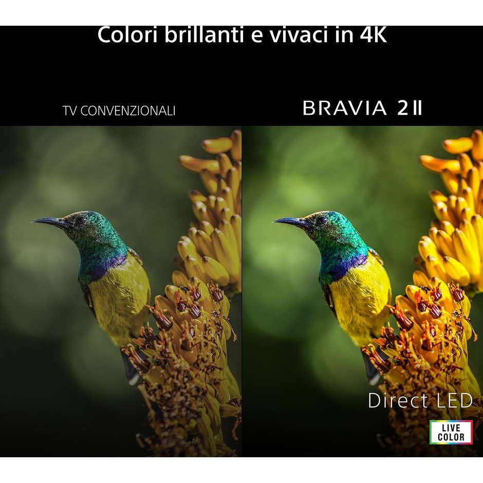 Sony BRAVIA 2 II TV LED 43" 4K HDR Google TV