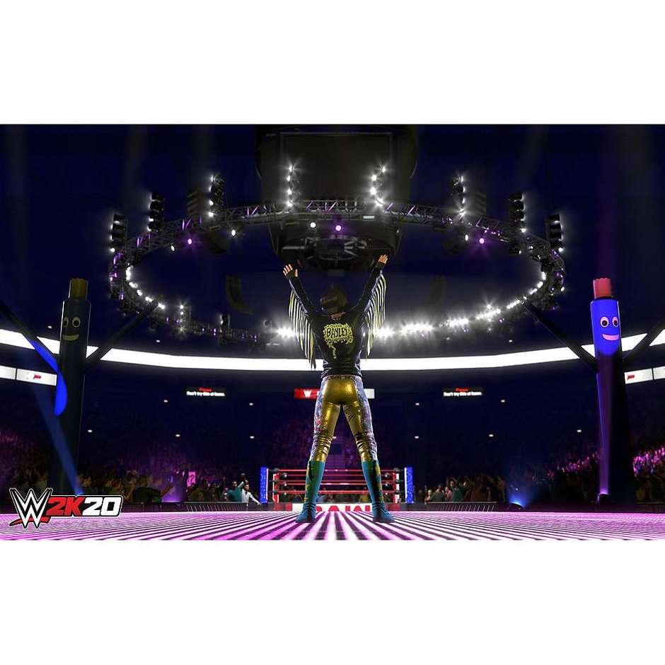 SONY WWE 2K20 videogioco per PS4